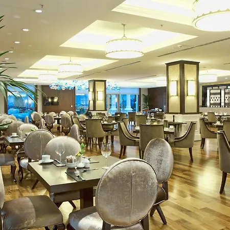 酒店 瑞泰皇家伊斯坦布尔酒店 5*