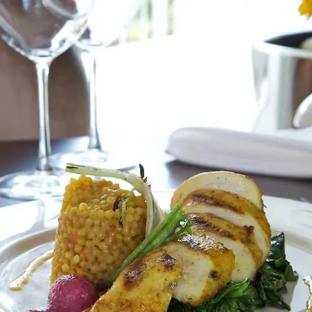 Rotta اسطنبول